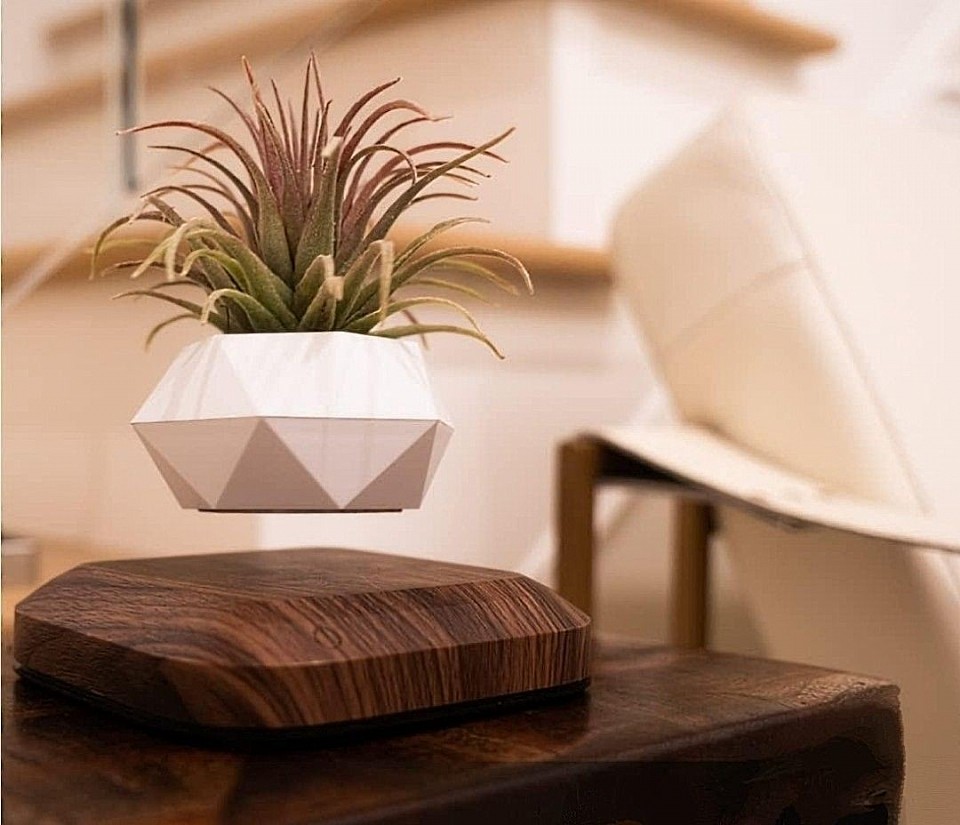 Levitating Plant Pot for Air Plants
